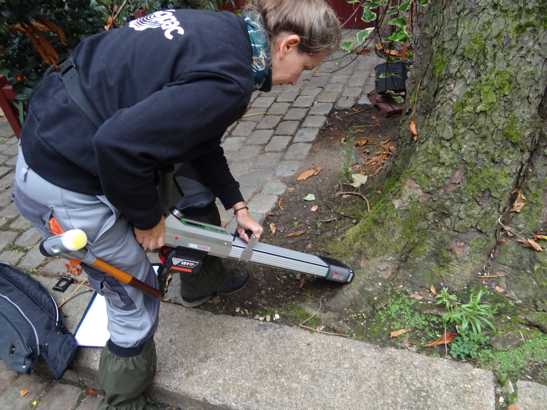 Expert arboricole utilisant un pénétromètre à résistance à la base d'un tronc pour mesurer la densité du bois